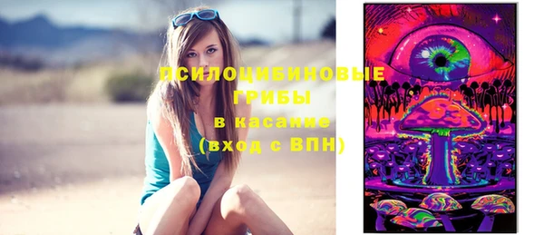 ГАЛЛЮЦИНОГЕННЫЕ ГРИБЫ Горнозаводск