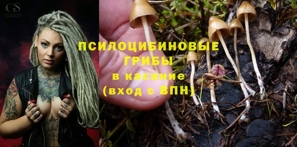 первитин Горняк