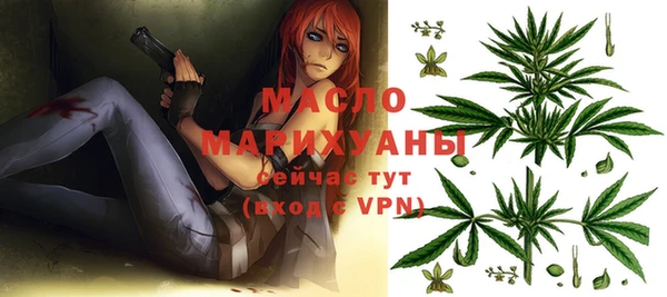 ешки Гусь-Хрустальный
