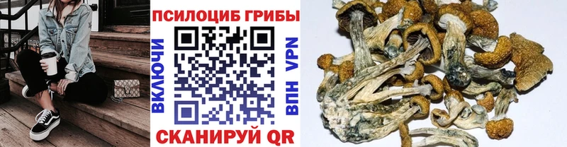 Псилоцибиновые грибы мухоморы  хочу наркоту  Дедовск 